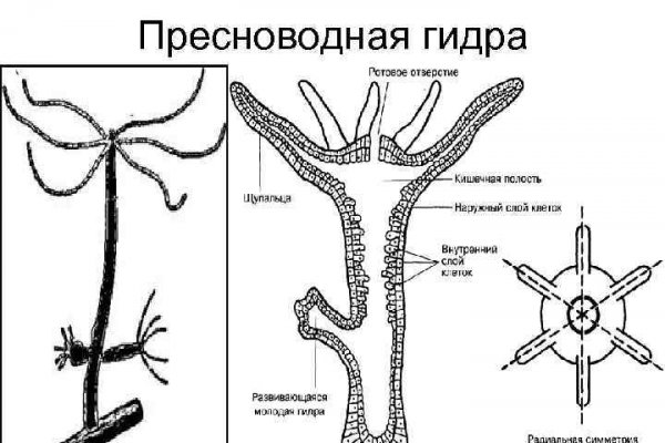 Купить гашиш с доставкой