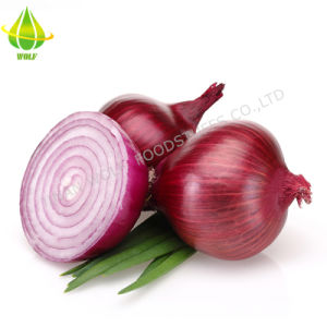 BlackSprut shop BlackSprut ssylka onion com